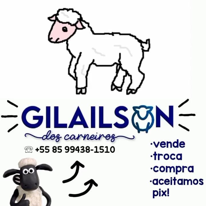 GILAILSON DOS CARNEIRO